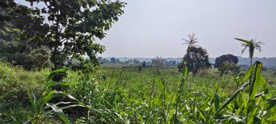 Image of 27000 Sq.ft Residential Plot / Land for sale in Jagat Pur Khadar, Dehradun for Rs. 15000000