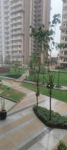 Image of 1656 Sq.ft 3 BHK Apartment / Flat for sale in IVY County, Sector 75, Noida for Rs. 33500000