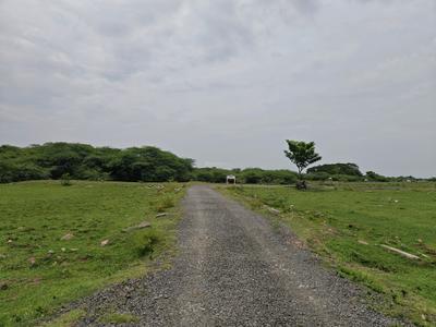 Image of 980 Sq.ft Residential Plot / Land for sale in Singaperumal Koil, Chennai for Rs. 1469032