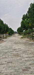 Image of 1350 Sq.ft Residential Plot / Land for sale in Jait, Vrindavan for Rs. 2550100