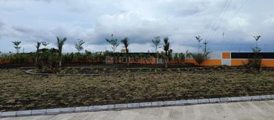 Solitaire Shankeshwar Vihar Plot View 2