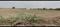 Individual NA Plot Plot View 2