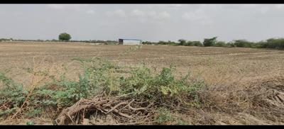 Image of 548778 Sq.ft Residential Plot / Land for sale in Visalpur, Ahmedabad for Rs. 270000000