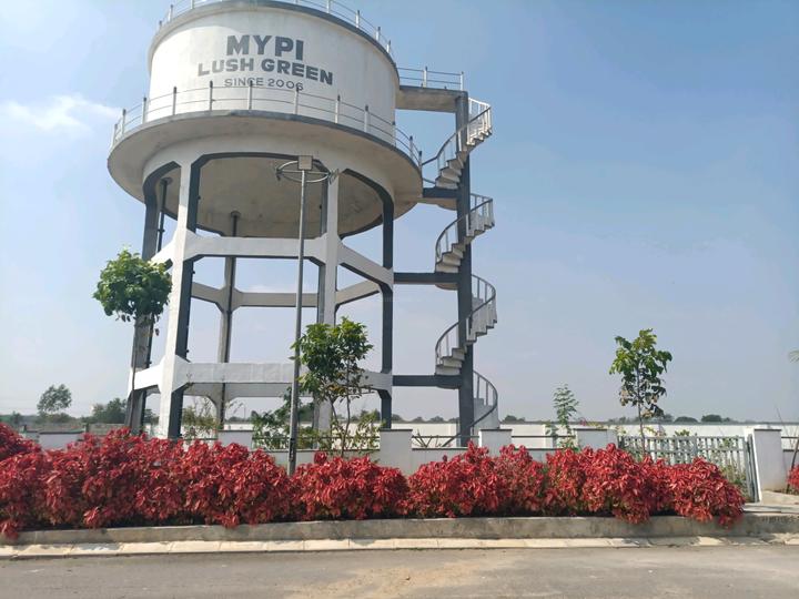 Mypi Lush Green Main Image 1