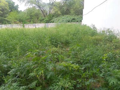 Residential Plot