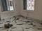 Lake Gardens Bedroom 1