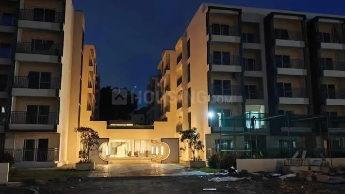 Daldal Seoni Main Image 1