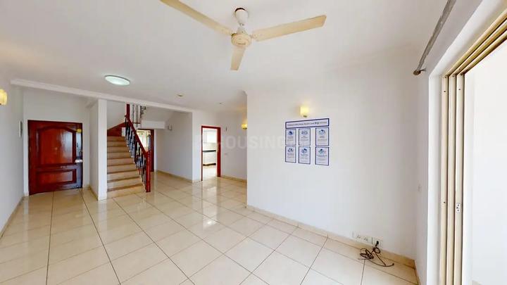 Ashed Regency Magnum Main Image 1