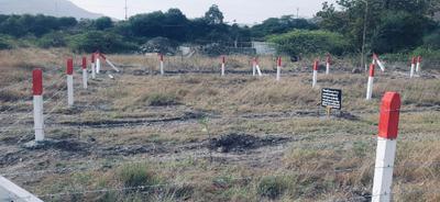 Residential Plot