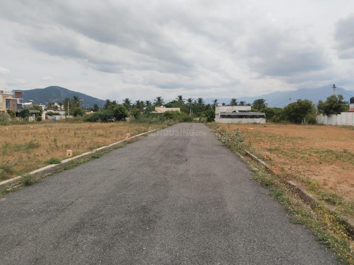 Karamadai Main Image 1