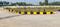 PL Greenfield Main Image 1