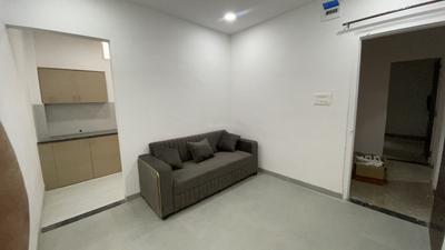 Living Room Image of 600 Sq.ft 1 BHK Apartment / Flat for rent in Mahalakshmi Nagar Indore for Rs. 20000