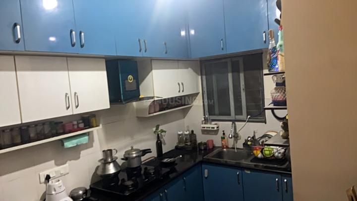 CoEvolve Aura Main Image 1