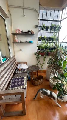 Image of 800 Sq.ft 2 BHK Apartment / Flat for sale in South City Garden, Behala, Kolkata for Rs. 8000000