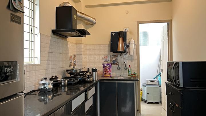 Pyramid Bilberry Main Image 1