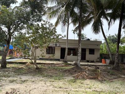 Image of 1100 Sq.ft 3 BHK Independent House for sale in Vadackal, Alappuzha for Rs. 9500000
