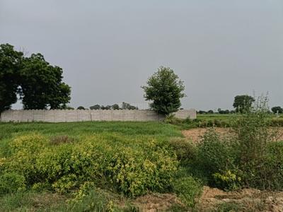 Image of 900 Sq.ft Residential Plot / Land for sale in Vrindaban Bangar, Vrindavan for Rs. 1250000