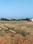 Saravanampatty Plot View 2