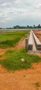 KRISHNA GARDENS Plot View 1