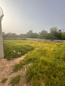 Residential Plot