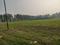 Dkrrish Green Beauty Farms Main Image 1