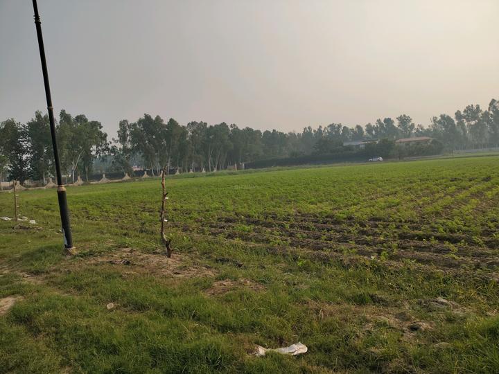 Dkrrish Green Beauty Farms Main Image 1