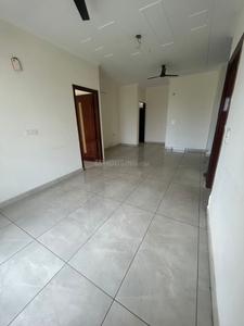 Hall Image of 1800 Sq.ft 3 BHK Builder Floor for rent in Sector 79 Mohali for Rs. 32000