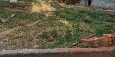 Image of 4300 Sq.ft Residential Plot / Land for sale in Kalali, Vadodara for Rs. 21500000