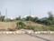 sector 80 FARIDABAD Plot View 1