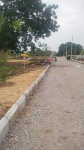 Residential Plot