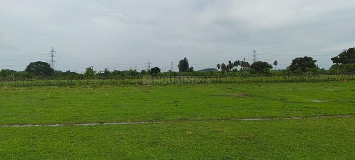 Appur R.F. Main Image 1