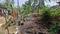 cr land Plot View 2
