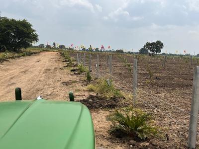 Residential Plot