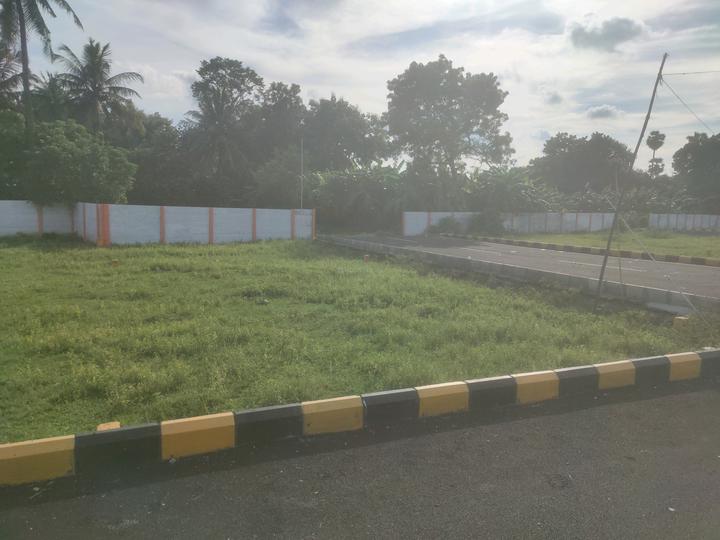 Ms susheela aveneu Main Image 1