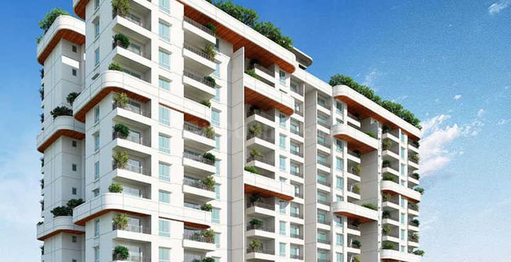 Sipani Pennantia Main Image 1