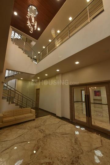 Pride Park Royale Main Image 1