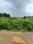 Lal Kuan Plot View 2
