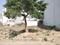 Sector 85 Plot View 2