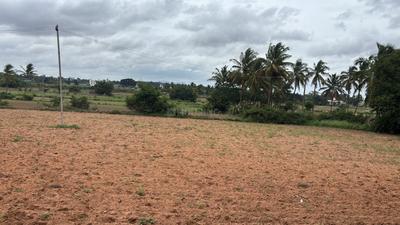 Image of 2325 Sq.ft Residential Plot / Land for sale in Kothnur Narayanapura, Bengaluru for Rs. 31400000