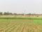 Naubatpur Main Image 1