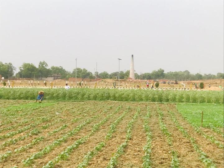 Naubatpur Main Image 1