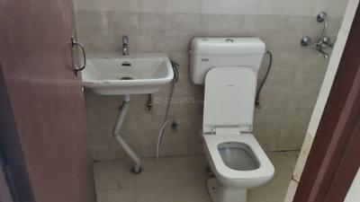 Image of 900 Sq.ft 3 BHK Apartment / Flat for rent in ROF Amaltas, Sector 92, Gurgaon for Rs. 21999