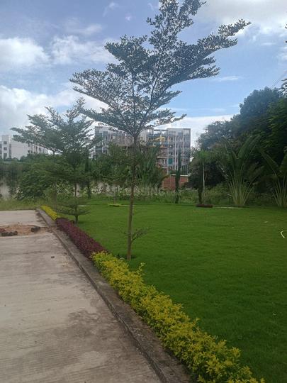 Phase 2, Salaiya Main Image 1