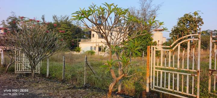 Antrat T. Need Main Image 1