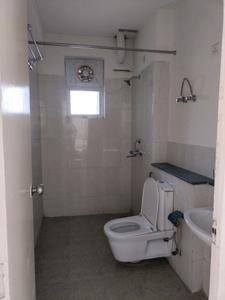 Common Bathroom Image of 1114 Sq.ft 3 BHK Apartment / Flat for rent in Jaypee Kosmos, Sector 130 Noida for Rs. 28000