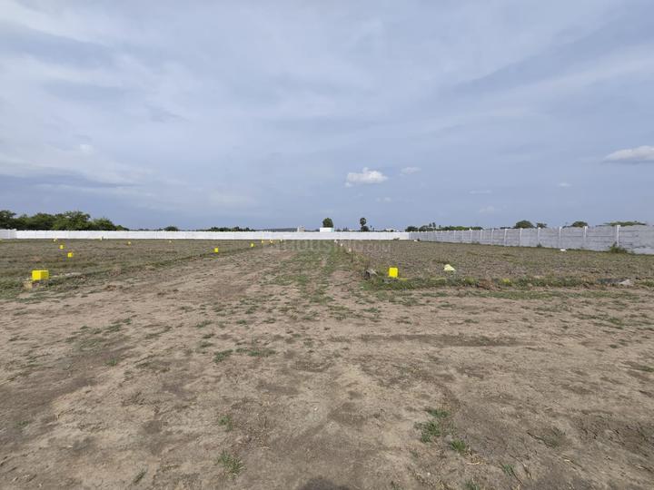 VGN Southern Spring Main Image 1