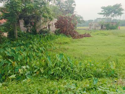 Sonarpur Plot View 2