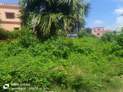 Residential Plot