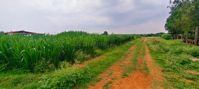 Image of 43560 Sq.ft Residential Plot / Land for sale in Kandukur, Hyderabad for Rs. 15000000