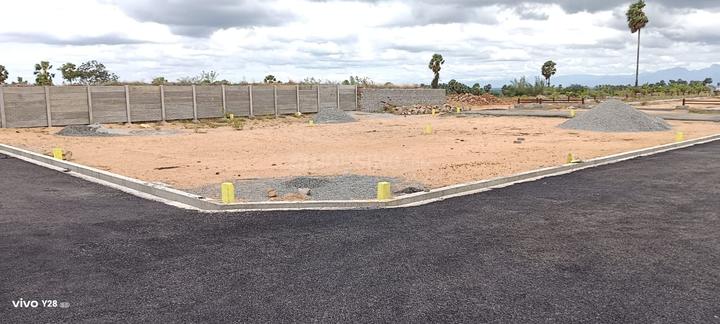 Avinashi Taluk Main Image 1